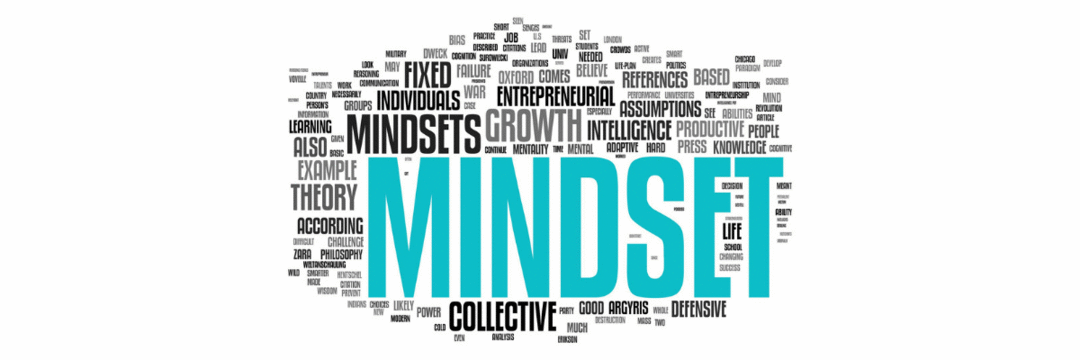 Mindset: a mudança da mentalidade empreendedora para o sucesso na nova economia